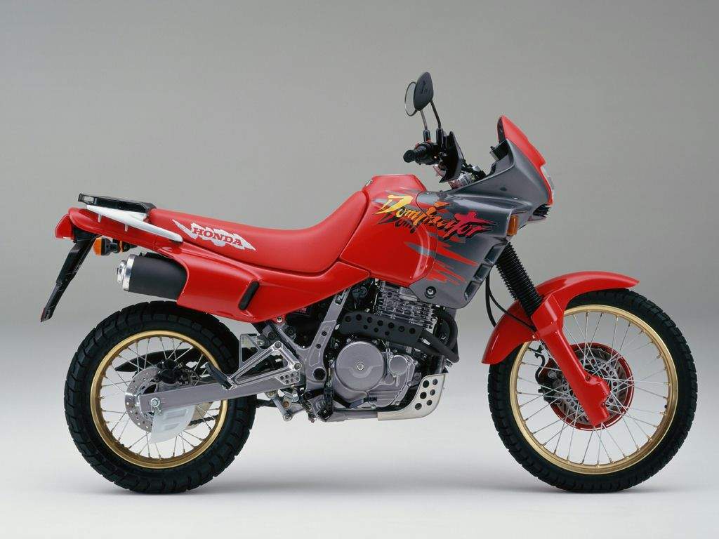 Garage-Built Honda NX650 Dominator Scrambler - BikeBound
