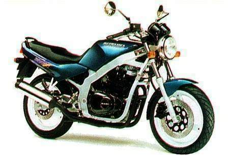 pant Måling vision Suzuki GS500E