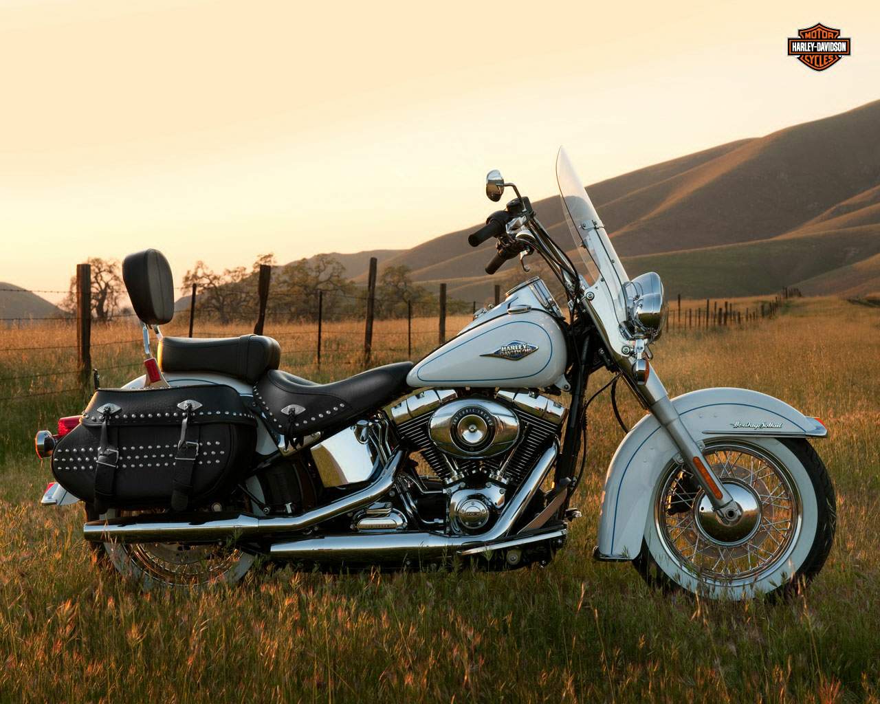 Harley Davidson Flstc Heritage Softail Classic