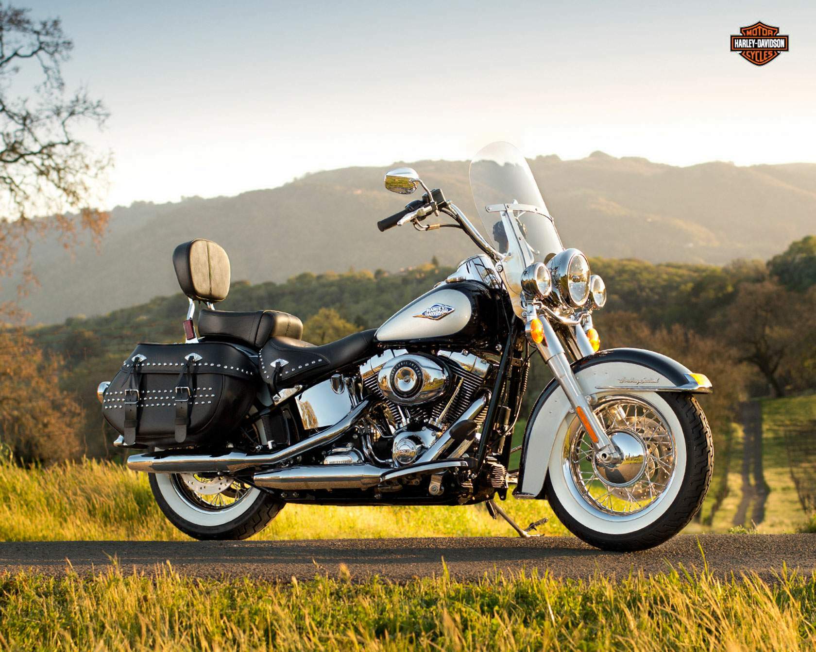 Harley Davidson Flstc Heritage Softail Classic