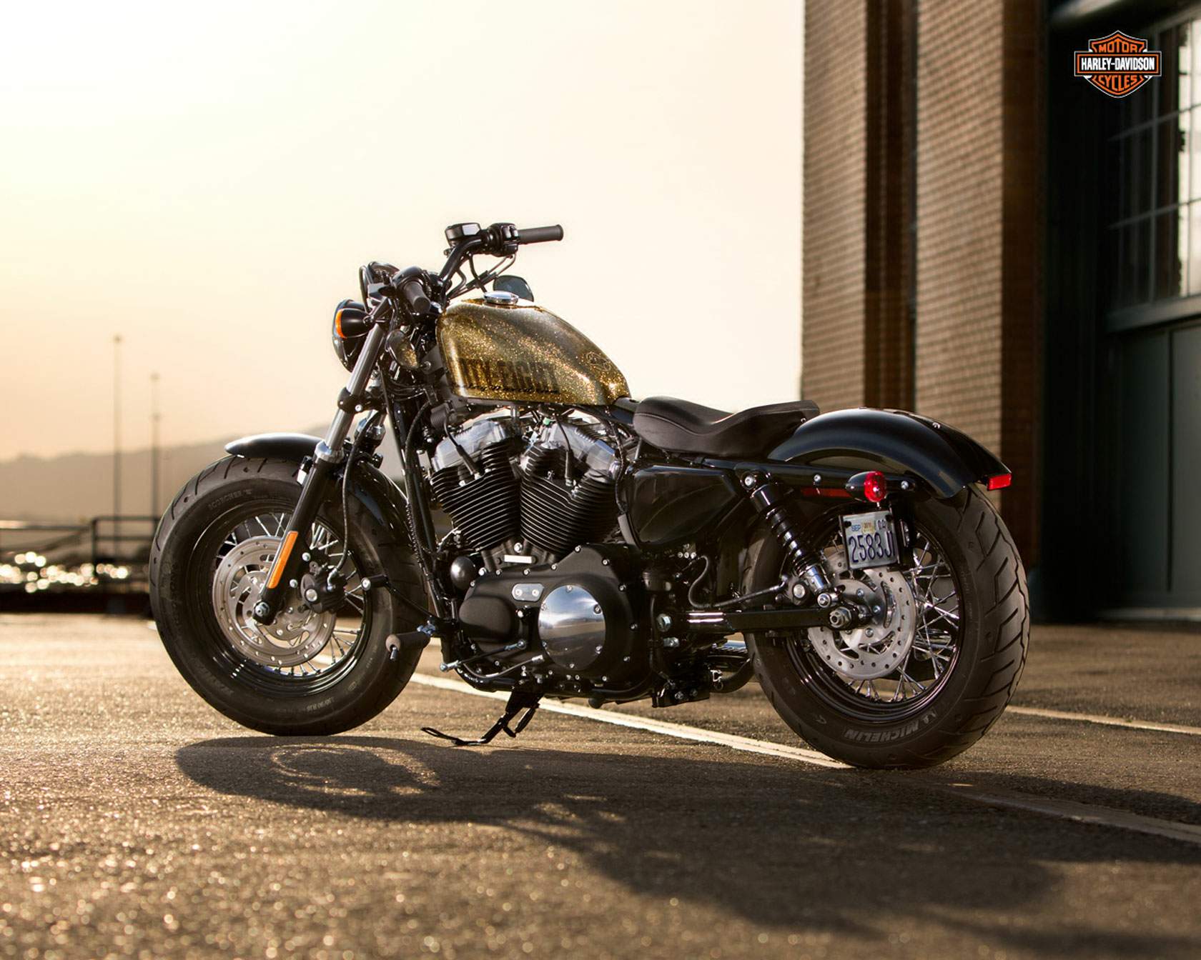 2013 Harley Davidson Xl1200x Forty Eight