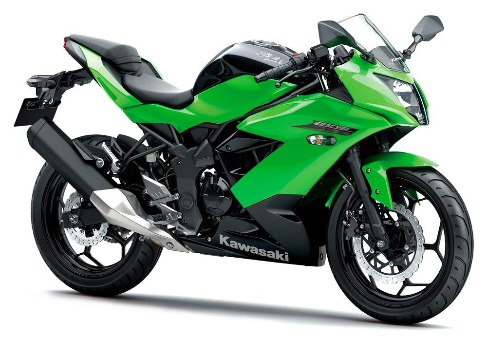 jævnt Vær venlig prinsesse Kawasaki Ninja 250RR Mono