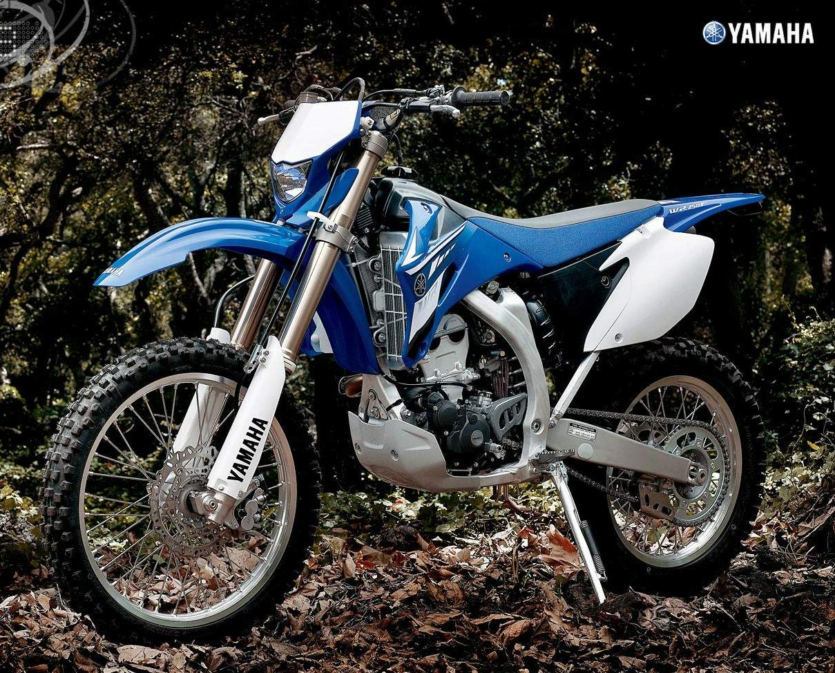 WR 250F