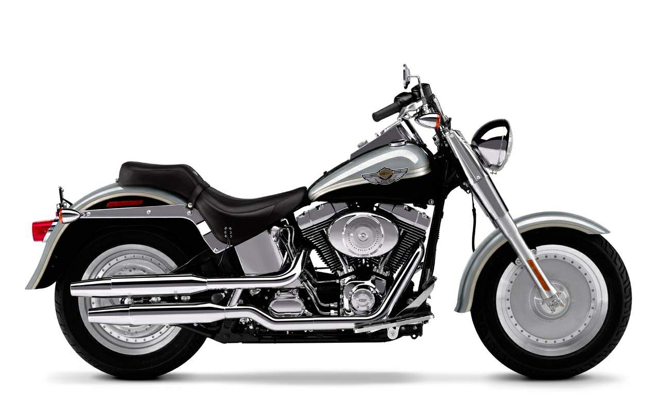 harley davidson fat boy white