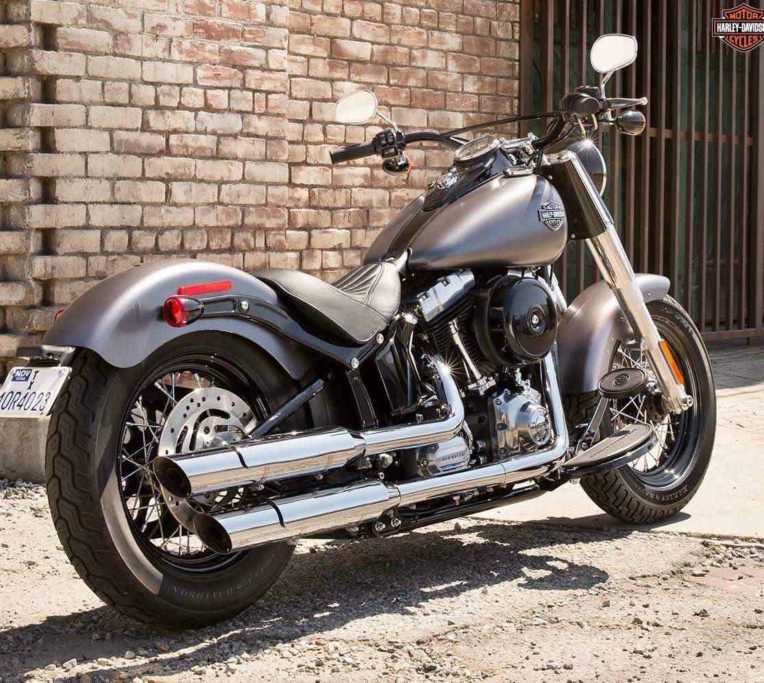 2018 2020 Harley Davidson Softail Slim