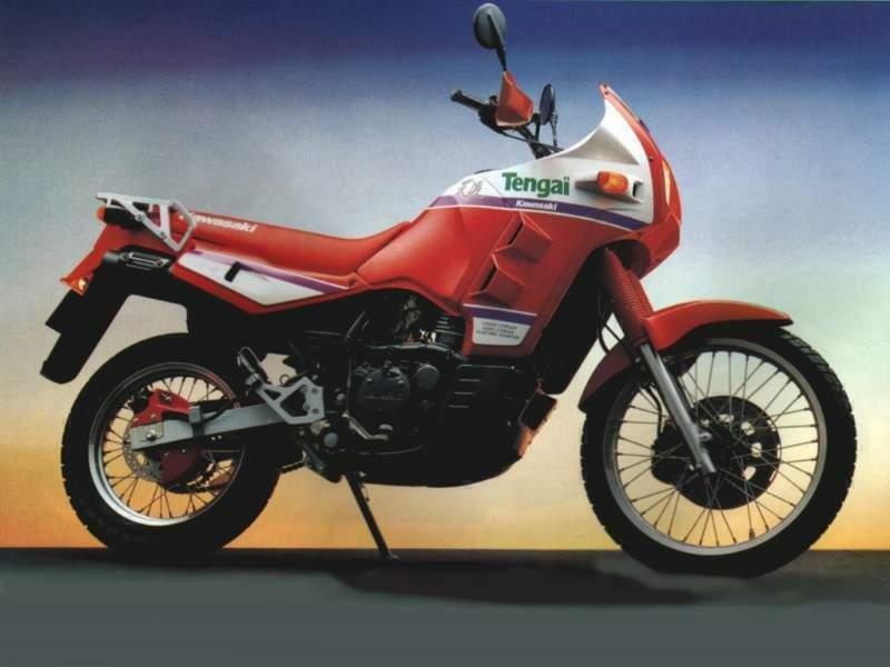 dug Centrum reparere kawasaki KLR650